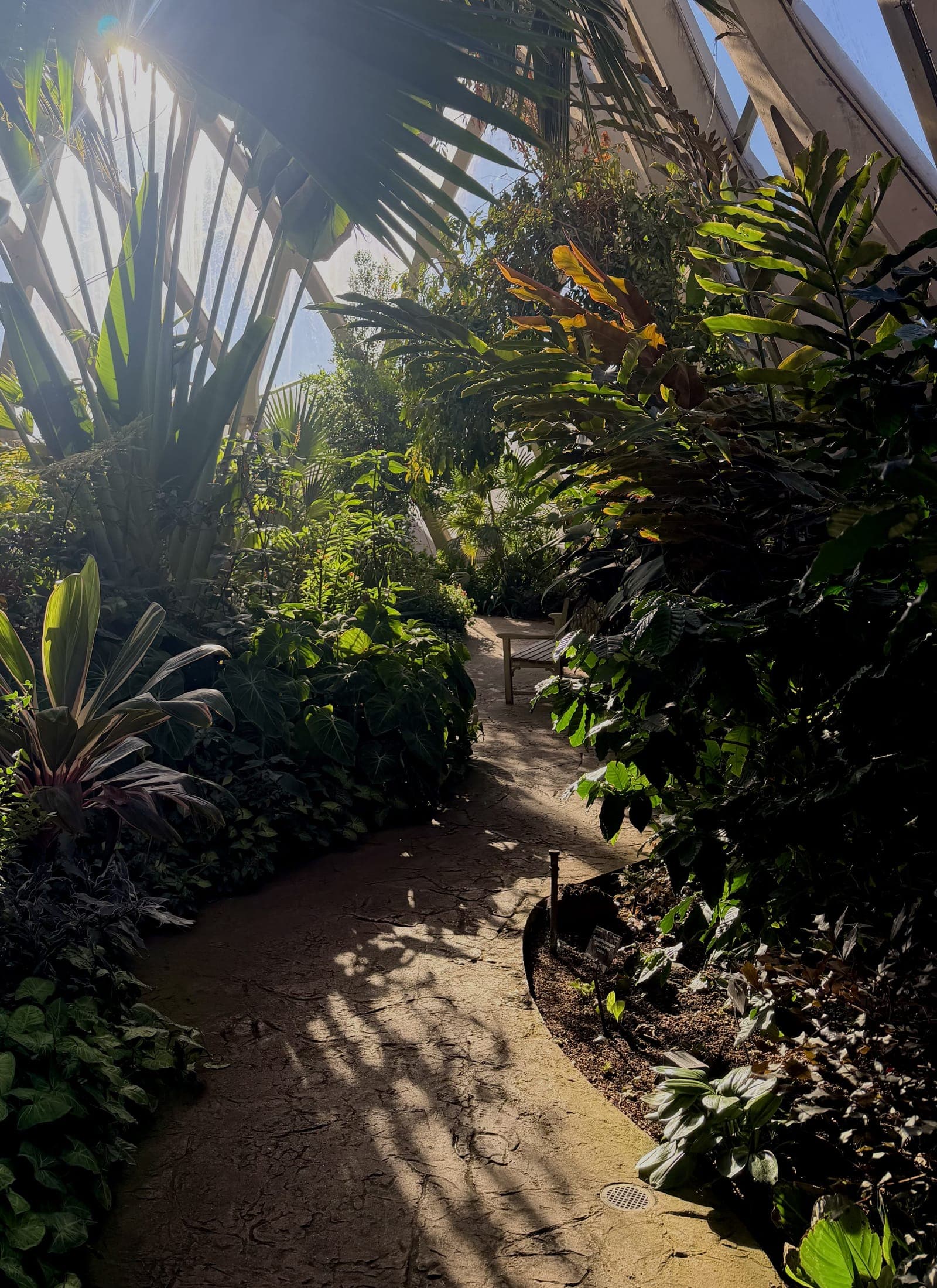 Natural path in a community-based environment